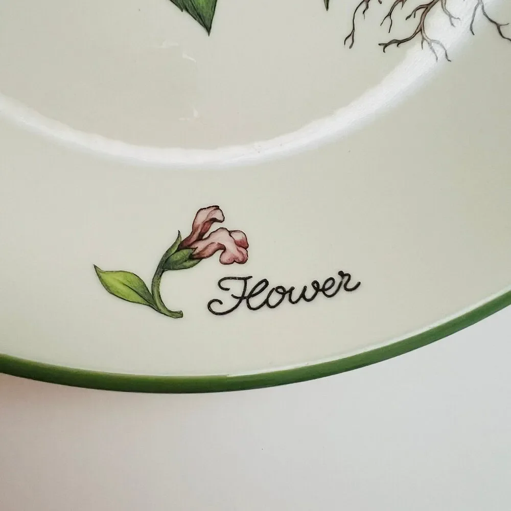 OVER AND BACK Stoneware Green Rim 
